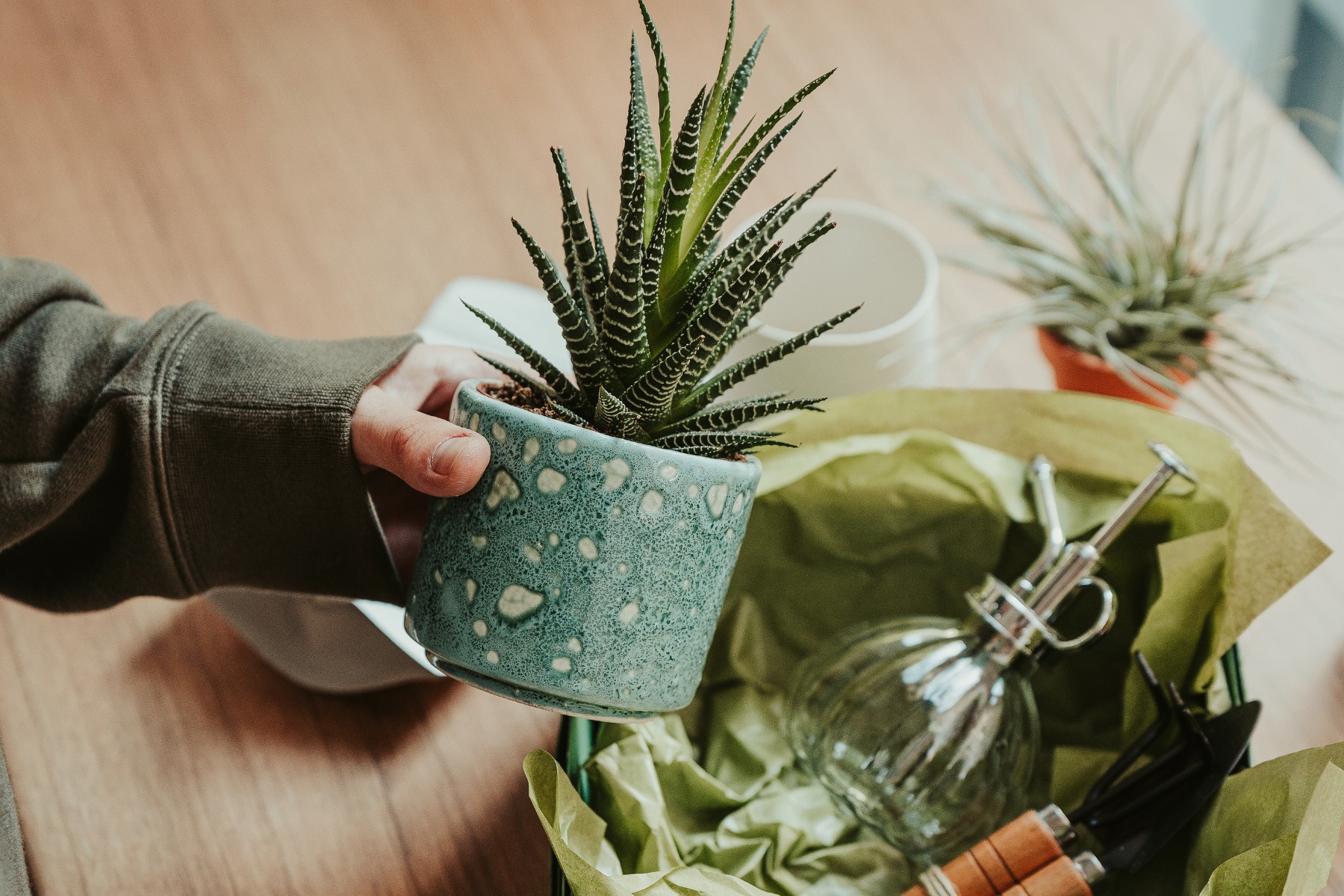 Housewarming gifts that every Aussie will love