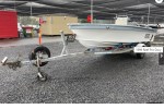 Small boat Reef Dory 5m