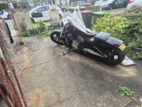 Motorcycle Harley Davidson VRod Muscle
