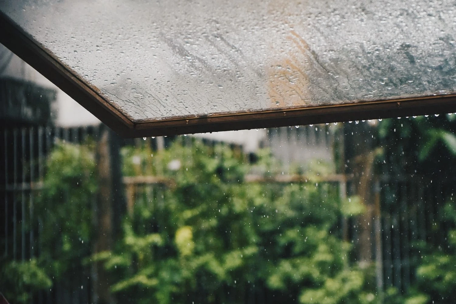 7 Useful Tips for a Home Move in a Rainy Day