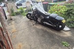 Motorcycle Harley Davidson VRod Muscle