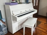 Alex Steinbach JS043D piano