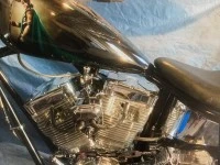 Motorcycle Ultima Custom 2010 softail