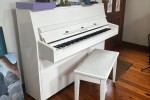 Alex Steinbach JS043D piano