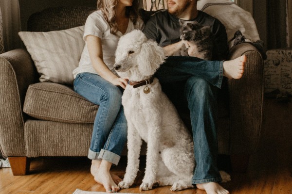 The Ultimate Guide to Moving House with Pets in Australia The Ultimate Guide to Moving House with Pets in Australia
