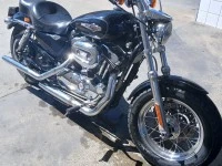 Motorcycle Harley 1200 sportster