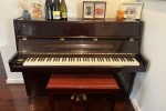 Alex steinbach - upright piano