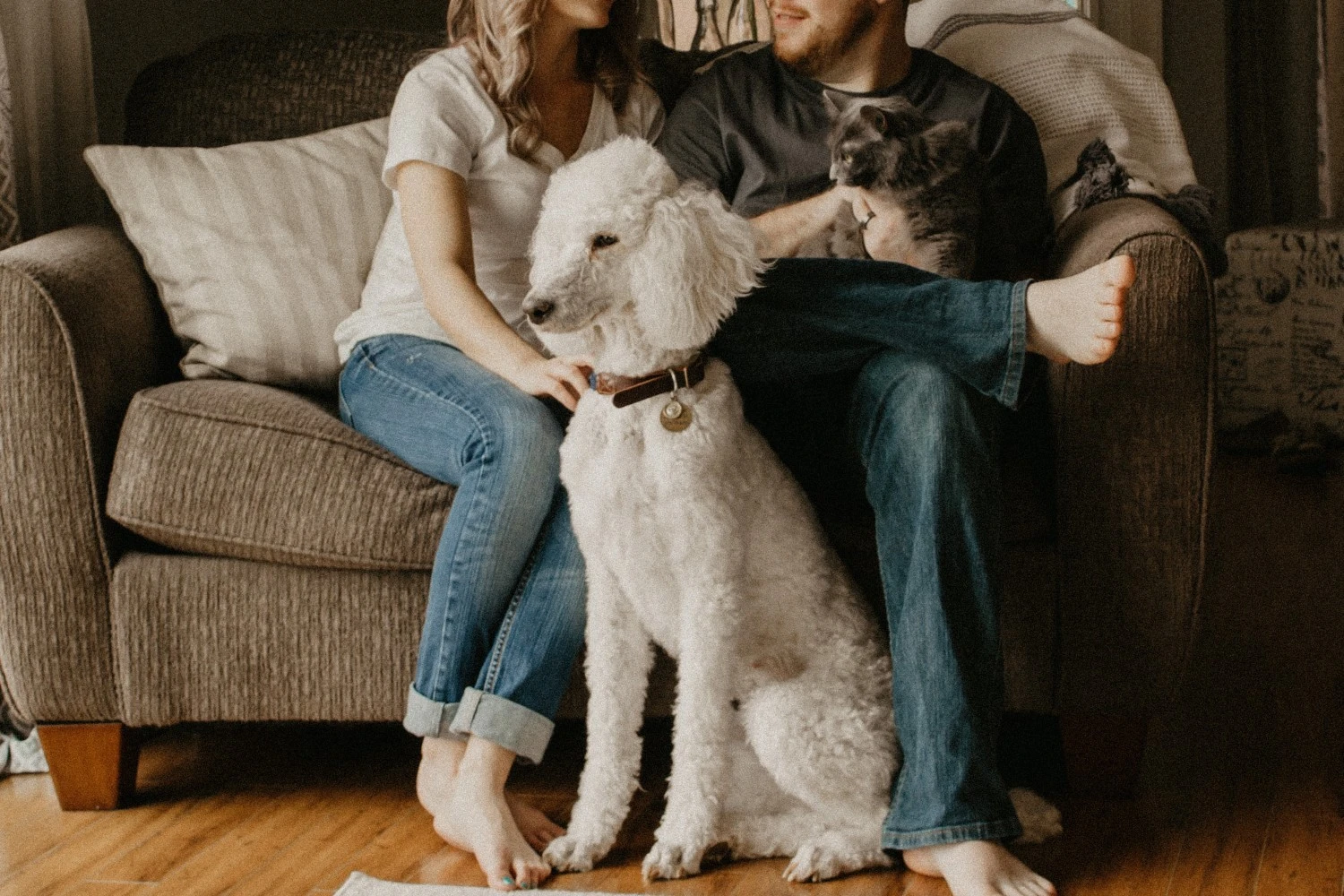 The Ultimate Guide to Moving House with Pets in Australia