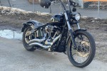 Motorcycle Harley Davidson Softail