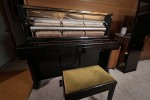 Kawaii BL51 piano