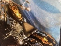 Motorcycle Ultima Custom 2010 softail