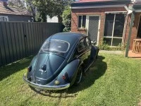 Volkswagen Beetle