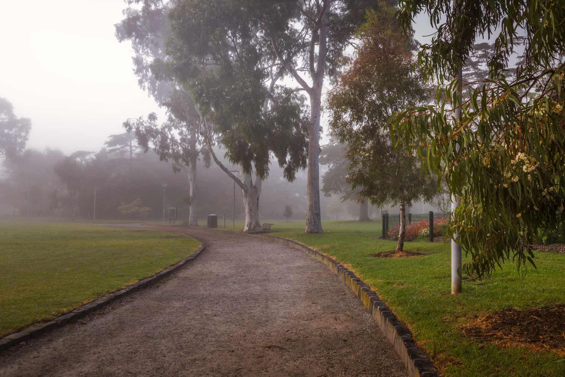 Malvern local football park