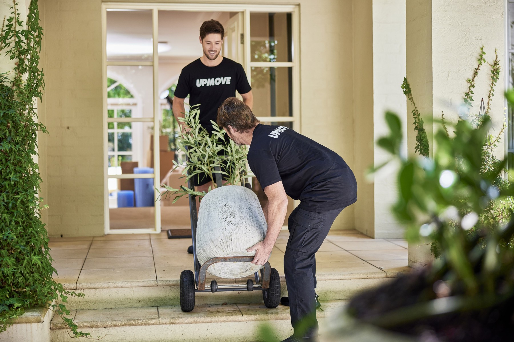 removalists moving large pot plant