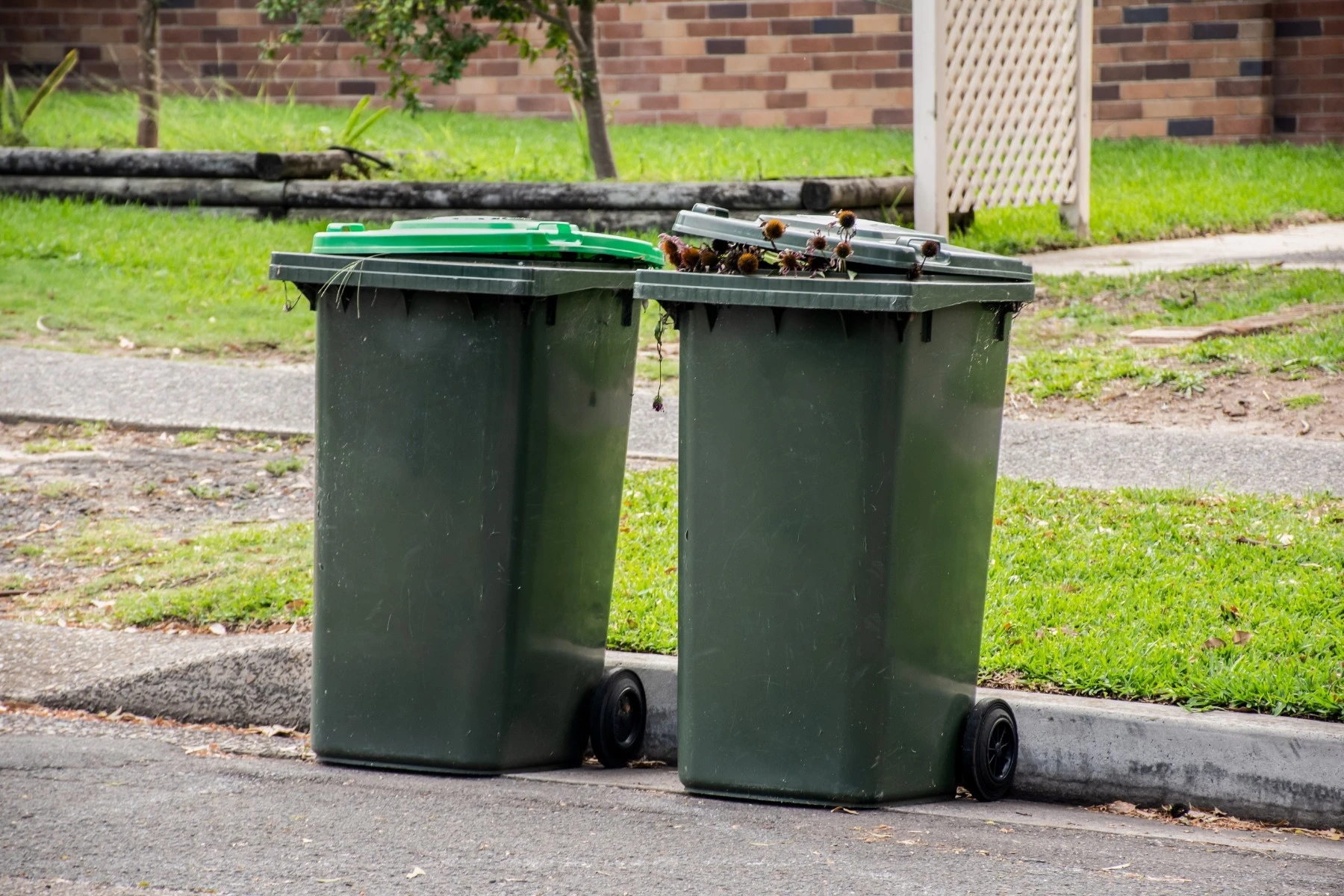 Australian garbage wheelie bins with colourful lids for recycling and general household waste lined up on the street kerbside for council rubbish collection