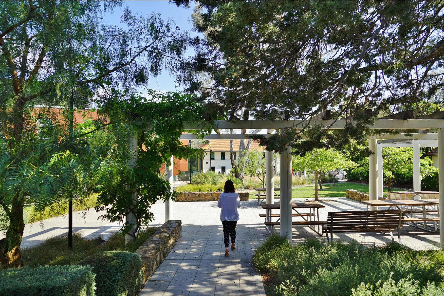  View of the campus of the Australian National University 
