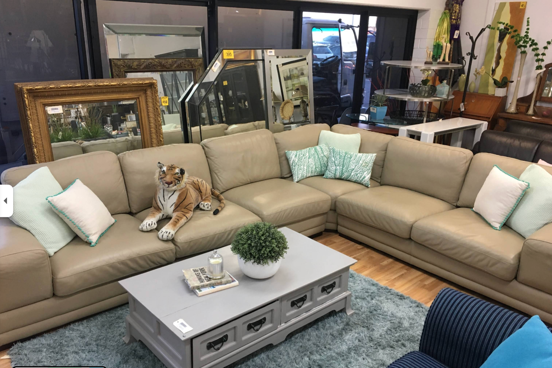 secondhand store with couch and tiger