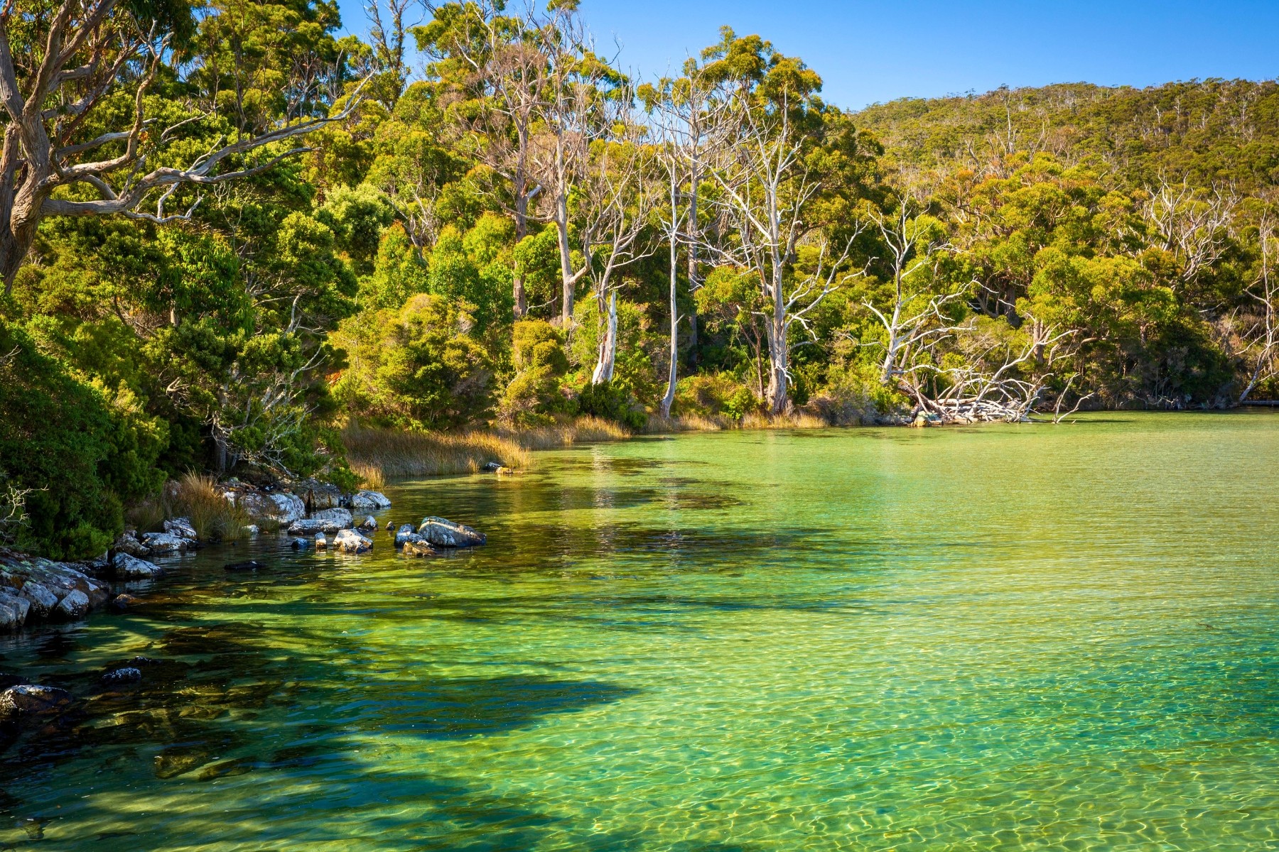 View of clear waters at Cockle Creek, South West National Park, Tasmania