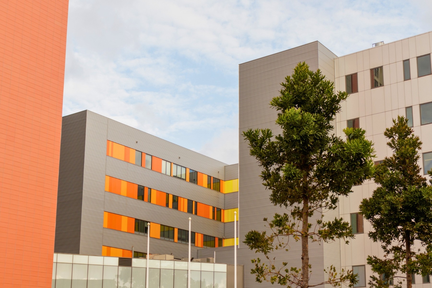 Easy access to Royal North Shore Hospital in Sydney