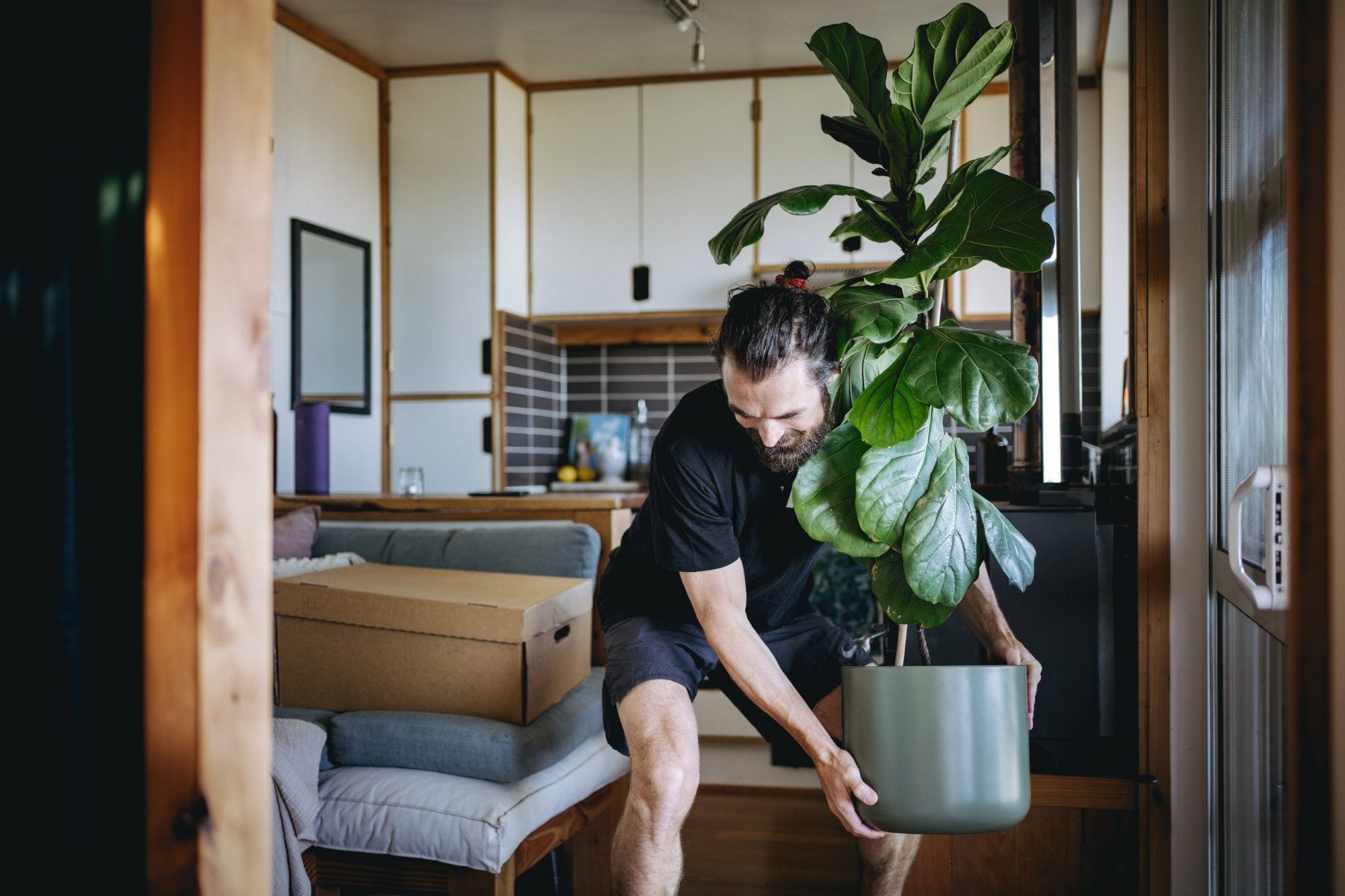 removalist with plant