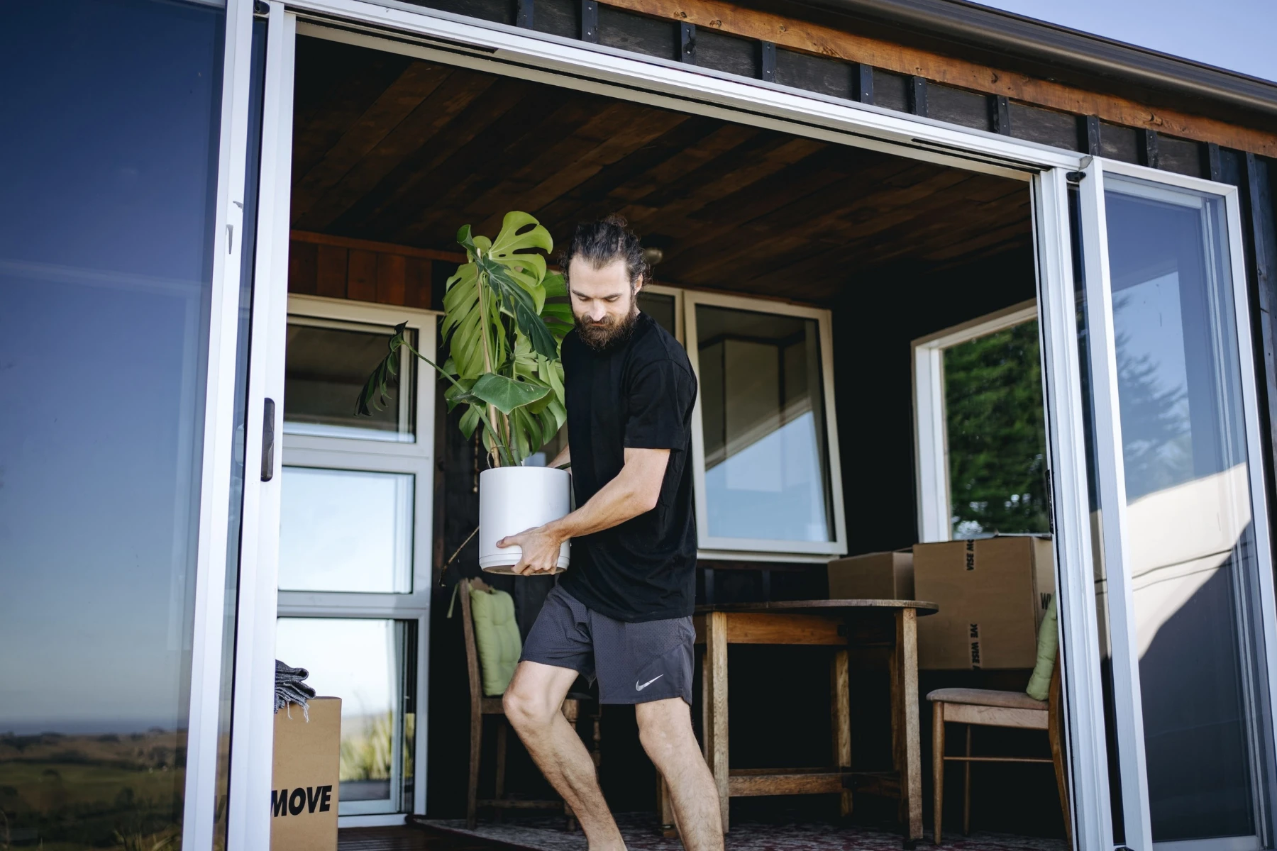 removalist carrying pot plant