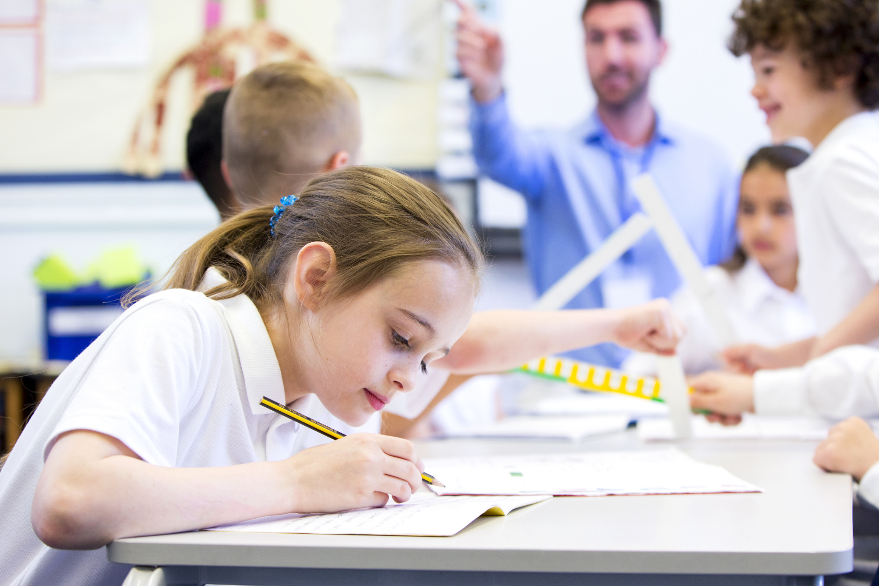 primary school girl studying