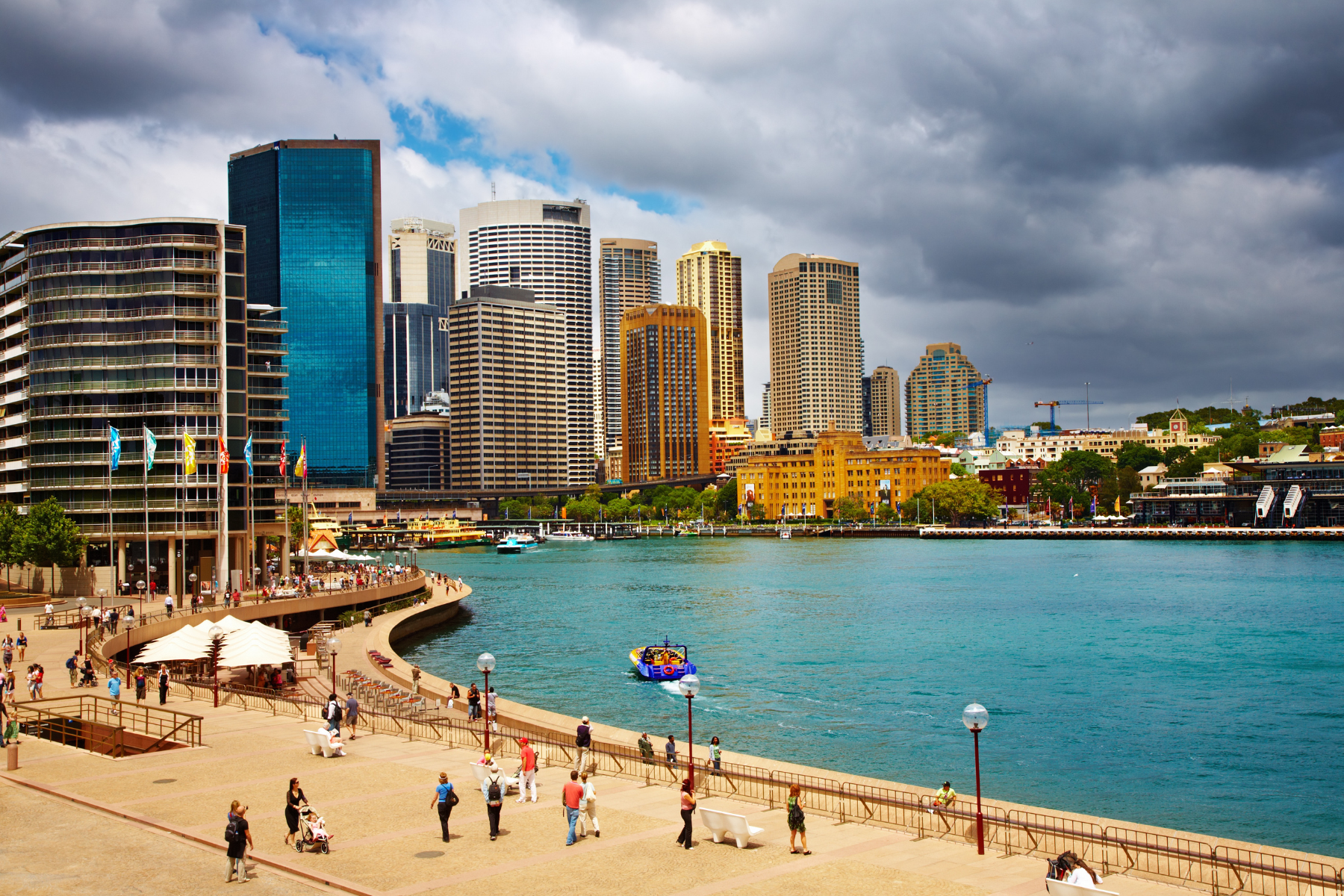 Sydney harbour and city 